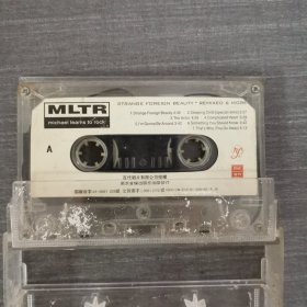 491磁带：MLTR 无歌词