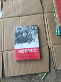 习近平在正定