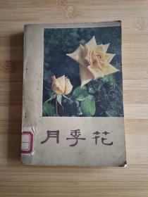 月季花