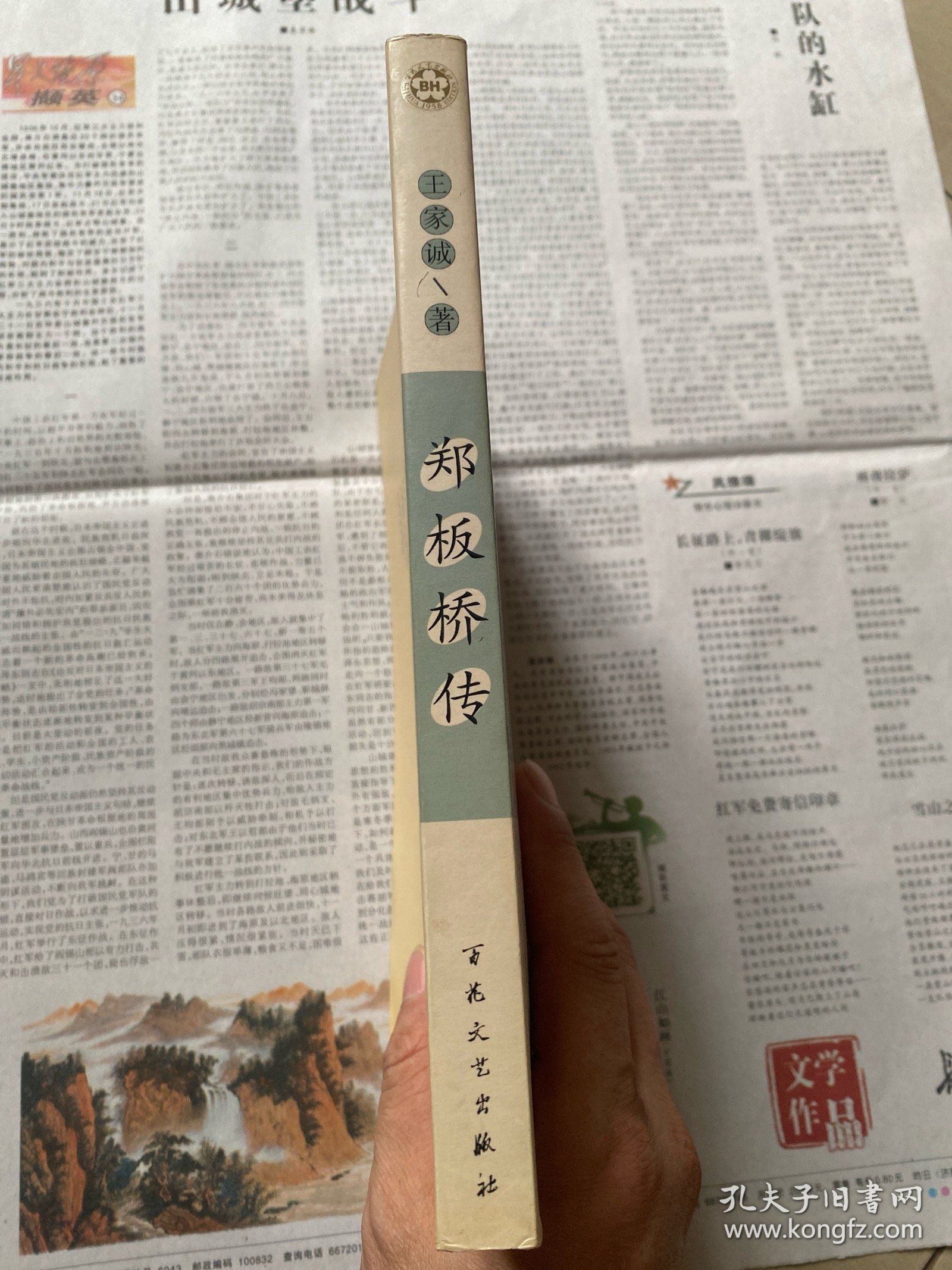 郑板桥传（王家诚传记精品系列）