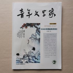 《青年文学家》2023年增刊，19万字长篇小说《从水中捞起的月亮》。