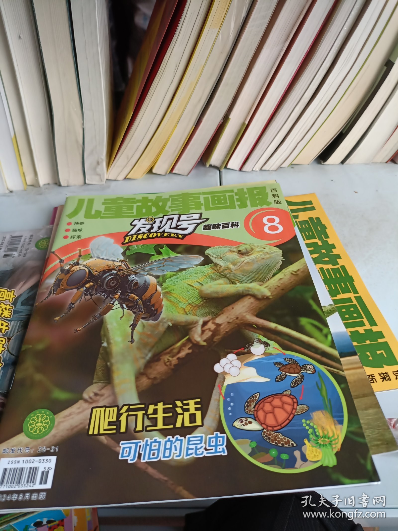 儿童故事画报 发现号趣味百科 百科版 2024 8