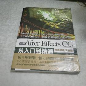 After Effects CC从入门到精通AE教程（全彩印 高清视频版）