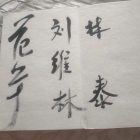 簽名簿(內(nèi)有林泰、劉維林等人毛筆簽名)