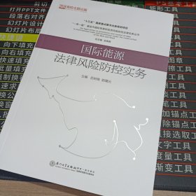 国际能源法律风险防控实务/“一带一路”贸易投资风险防控法律实务系列丛书