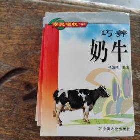巧养奶牛——农民增收口袋书