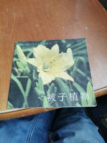 被子植物 初中植物学教学参考图册5