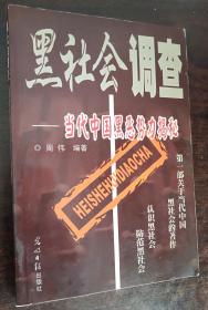 黑社会调查 当代中国黑恶势力揭秘 扉页有字迹，内页无涂画破损等瑕疵