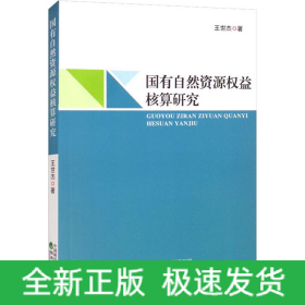 国有自然资源权益核算研究