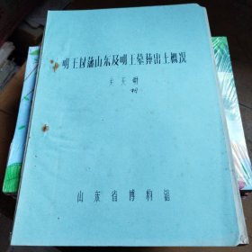 明王封藩山东及明王墓葬出土概况（油印）