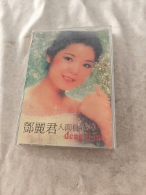 DVD 邓丽君人面桃花（外壳有点破，尺寸12X12，唱片有点轻微浅划痕，唱片中间有点漆脱落，品相如图）