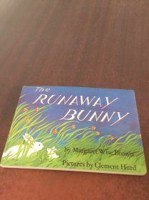 The RUNAWAY BUNNY