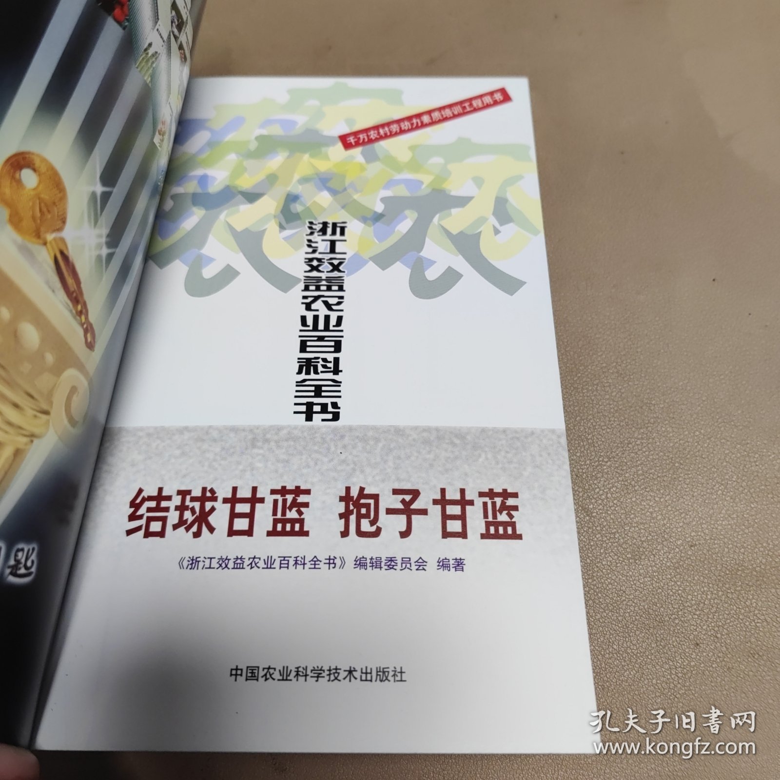 浙江效益农业百科全书 结球甘蓝抱子甘蓝