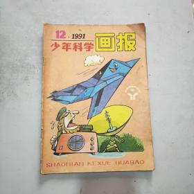 少年科学画报  1991年第12期