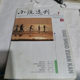 小说选刊