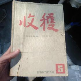 1979年收获第1.5期