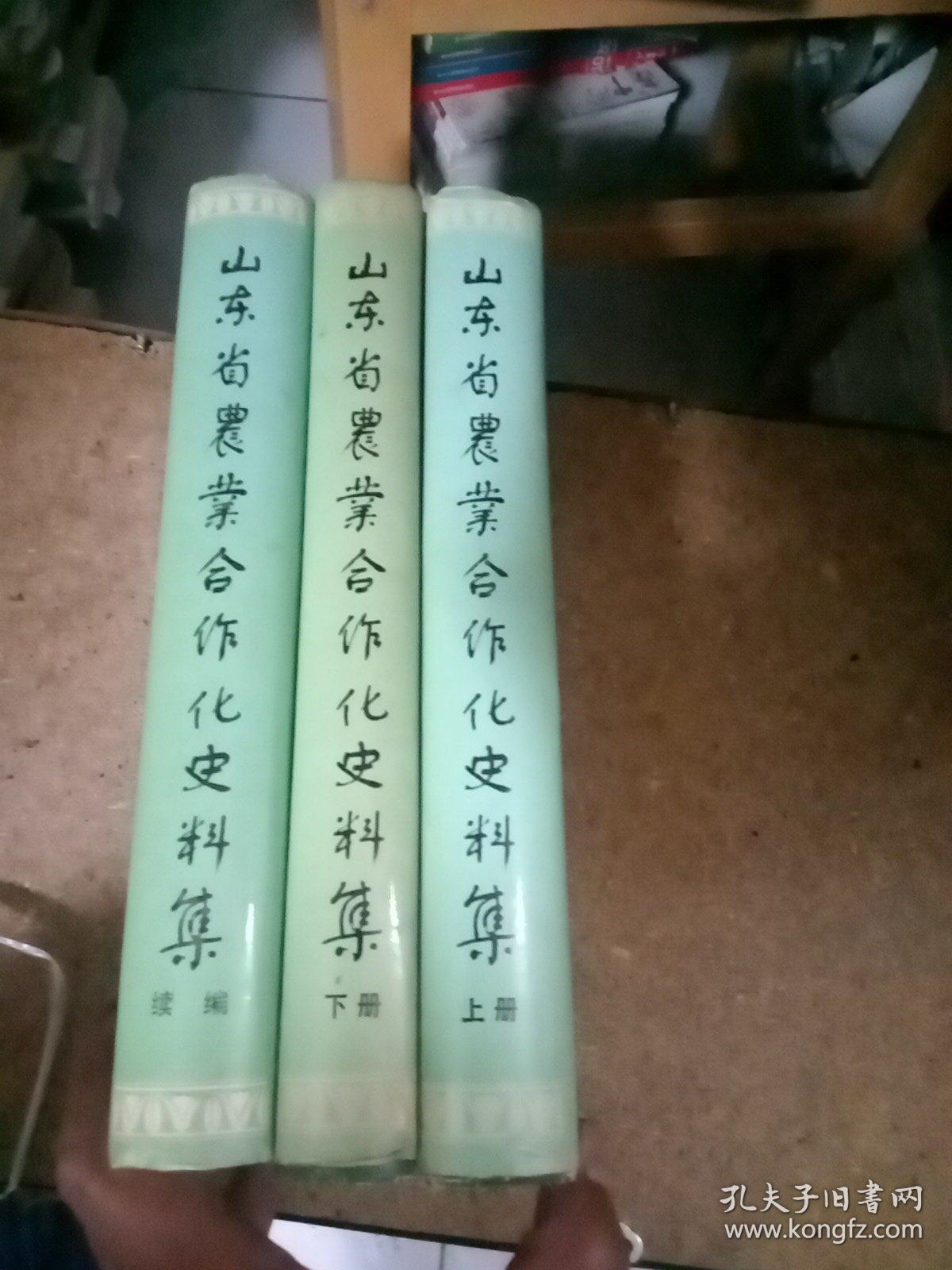 山东省农业合作化史料集（上下，续）