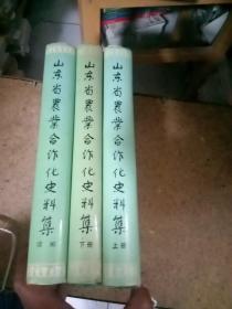 山东省农业合作化史料集（上下，续）