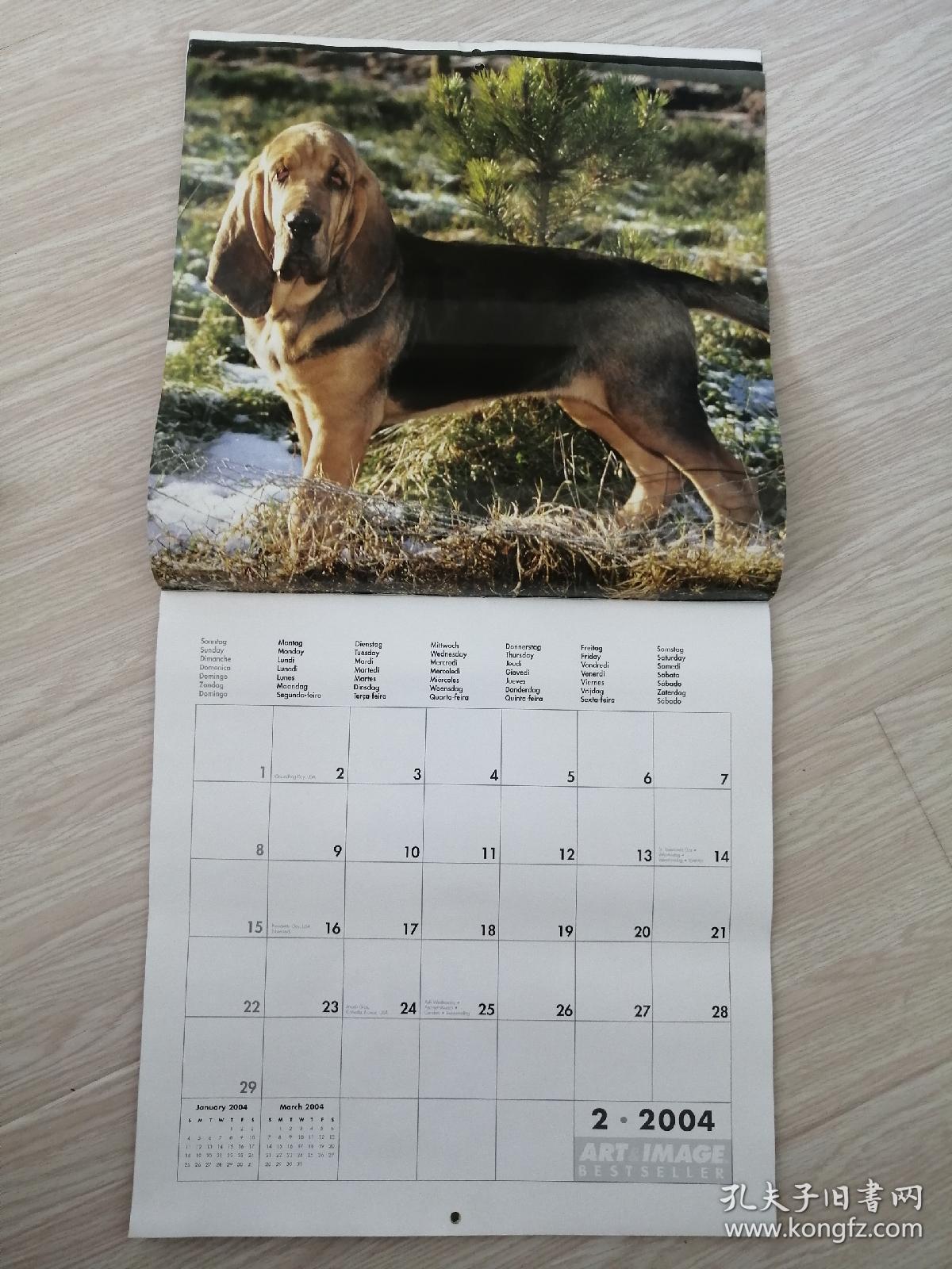 2004年德国原版挂历名犬，13张全