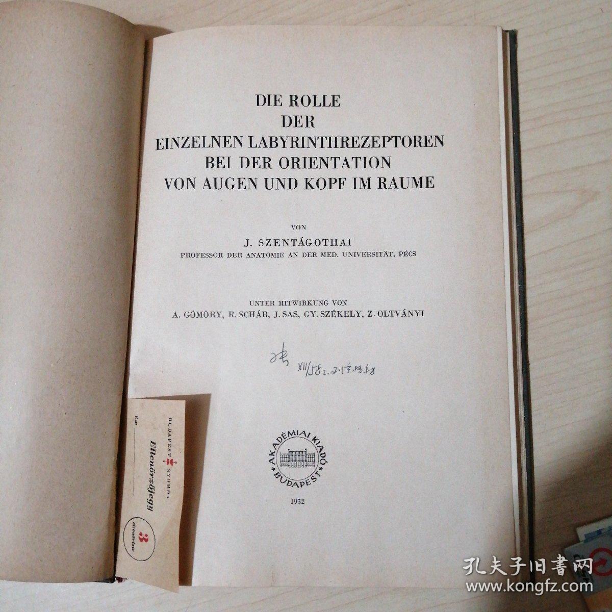 DIE ROLLE DER EINZELNEN LABYRINTHREZEPTOREN BEI DER ORIENTATION VON AUGEN UND KOPF IM RAUME
