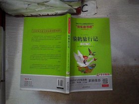 骑鹅旅行记（六年级下册名师讲解版）/“快乐读书吧”·统编小学语文教材配套阅读丛书