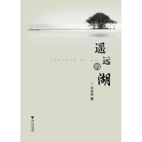 遥远的湖/冯世杰/浙江大学出版社