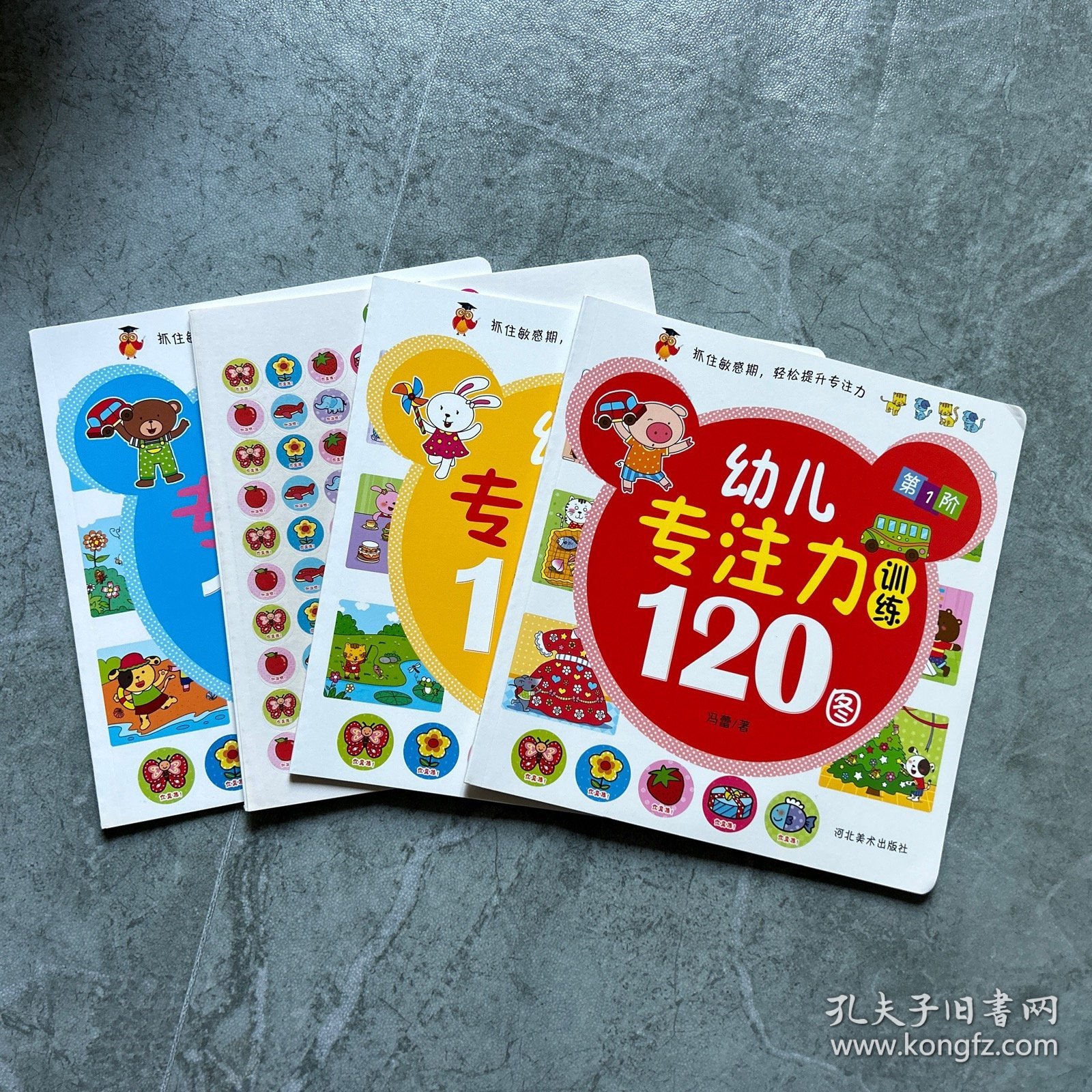 幼儿专注力训练120图（全4册）