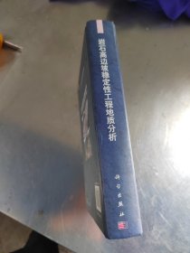 新世纪工程地质学丛书：岩石高边坡稳定性工程地质分析（藏书\无笔记\品相好）