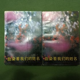 血染着我们的姓名 上下册