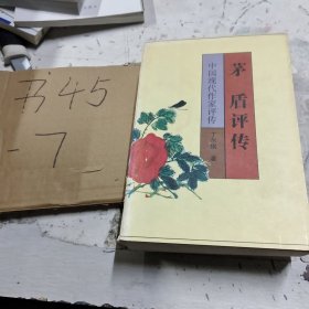 中国现代作家评传・茅盾评传