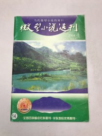 微型小说选刊2004年6