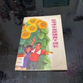 在毛泽东思想哺育下成长