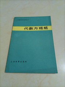 老版教辅•中学数学教学参考丛书：代数方程组