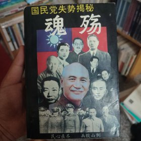 魂殇:国民党失势揭秘