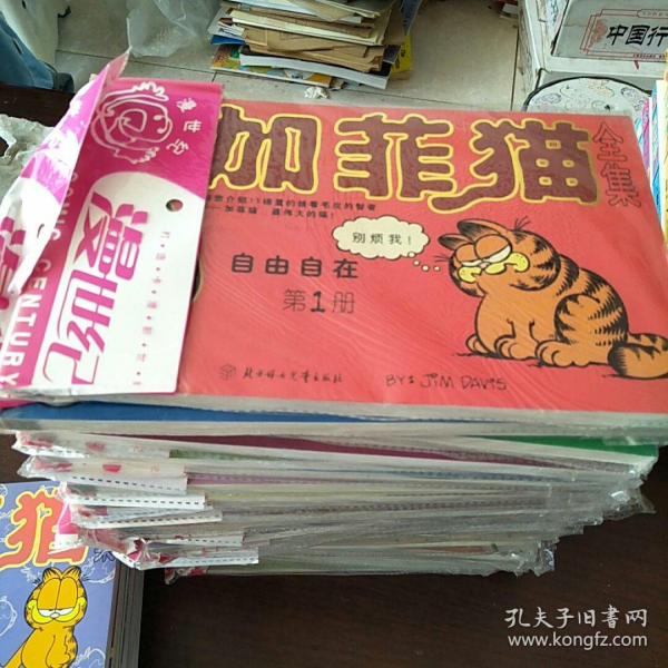 加菲猫全集10本（世界头号胖猫首次登陆中国）