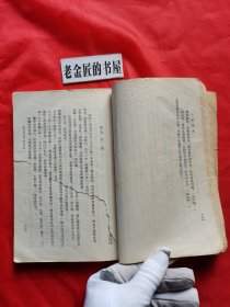 中国诗史（下册）。