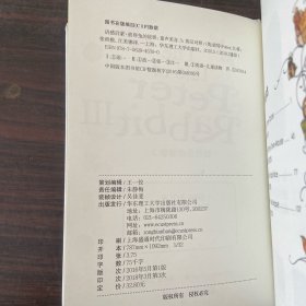 语感启蒙·彼得兔的故事3（英汉对照、童声美音）