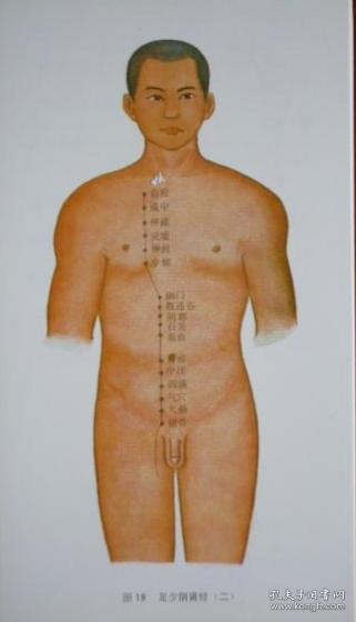 袖珍标准针灸经穴部位图解
（活页袋装全40张，图解共38幅）