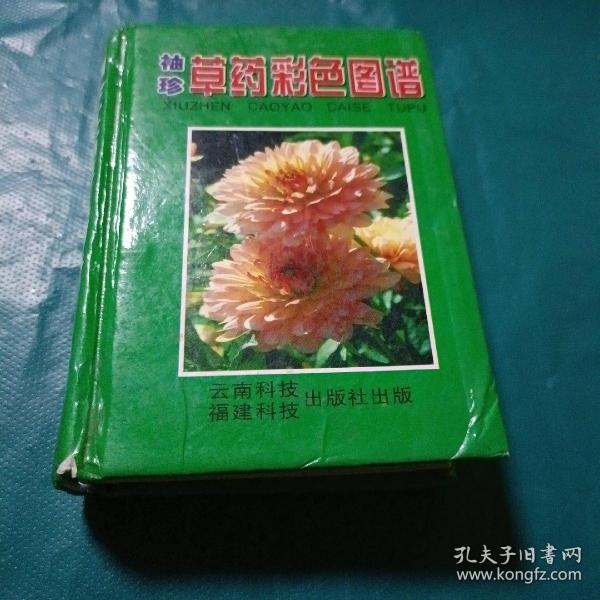 袖珍青草药彩色图谱