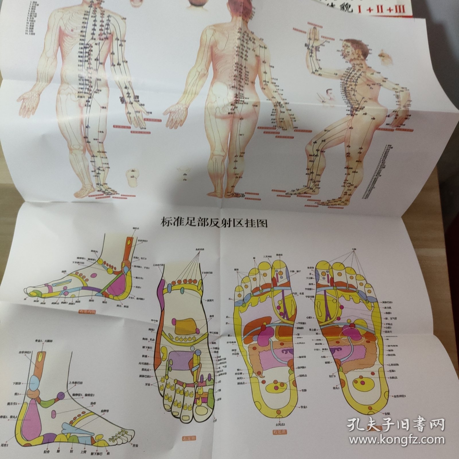 求医不如求己1+2+3+4+5+6【附挂图】