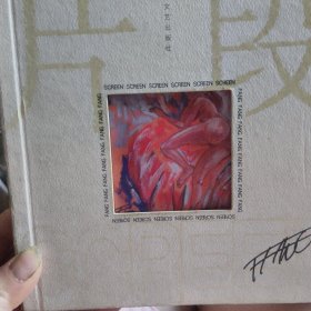 片段