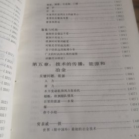 15至18世纪的物质文明、经济和资本主义 第一卷 日常生活的结构：可能和不可能