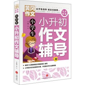 小学生小升初作文辅导