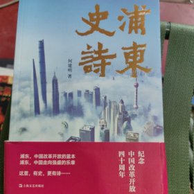 浦东史诗