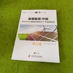 重塑能源：中国面向2050年能源消费和生产革命路线图 电力卷