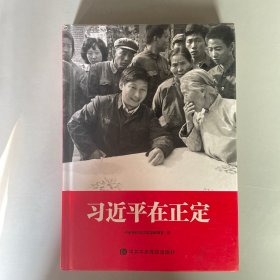 习近平在正定精装