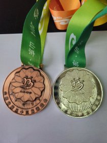 山东省第二十三届运动会奖牌（银牌，铜牌）