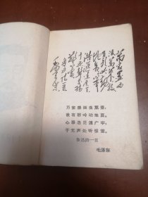 鲁迅文录（无封底）