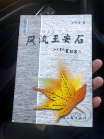 风流王安石 O2