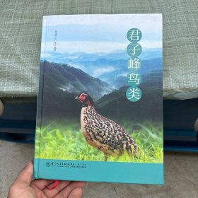 君子峰鸟类